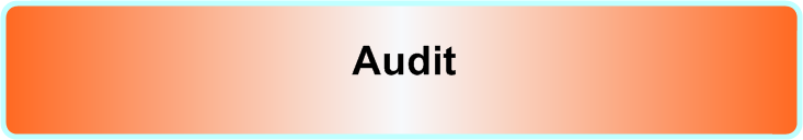 Audit